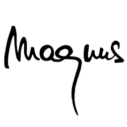 (c) Magnusguitars.de